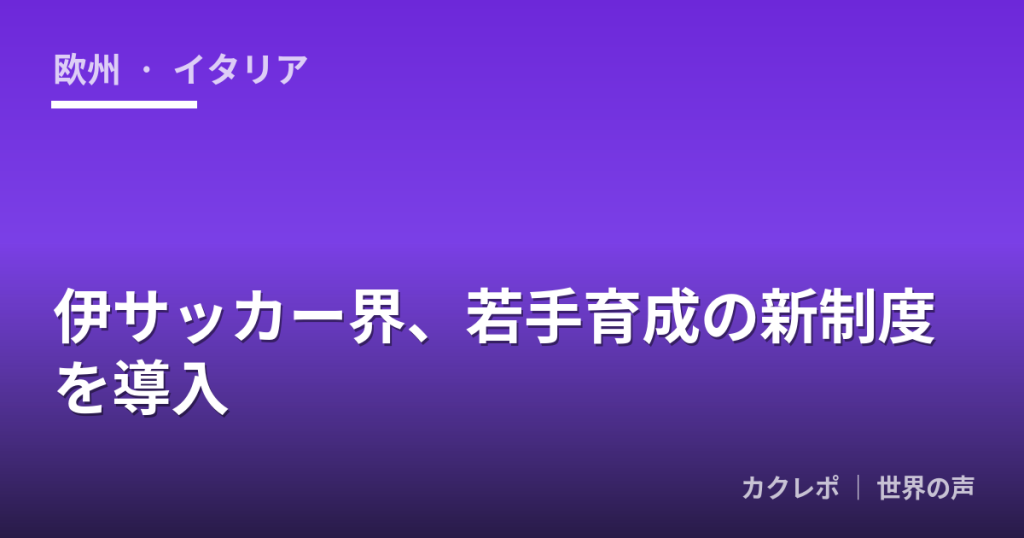 伊サッカー界、若手育成の新制度を導入