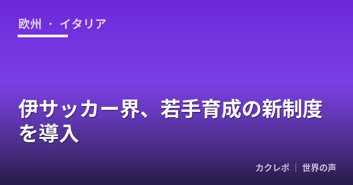 伊サッカー界、若手育成の新制度を導入