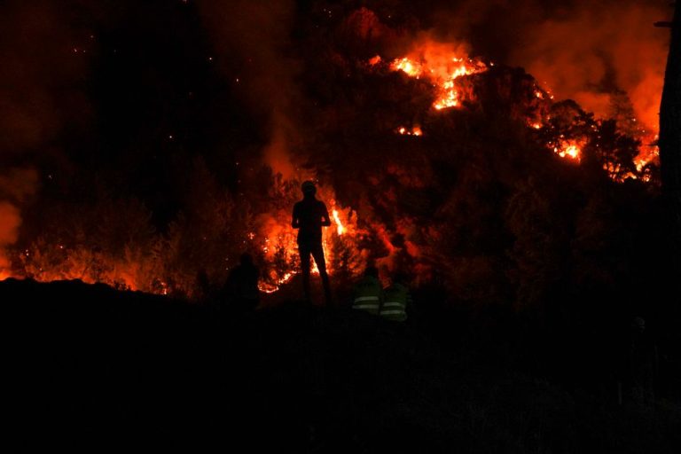 フランス9県に猛暑「赤色警戒」、記録的熱波が7月中旬まで継続の見通し