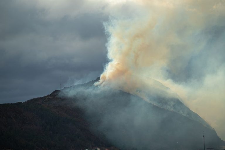 スペイン・アルメリア県ロス・ガリャルドスで山火事、死傷者と行方不明者
