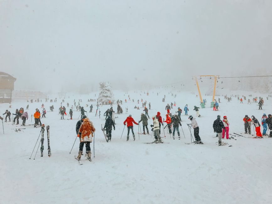 NZ・マウントハットが10年ぶりの大混雑 マタリキ連休の大雪で
