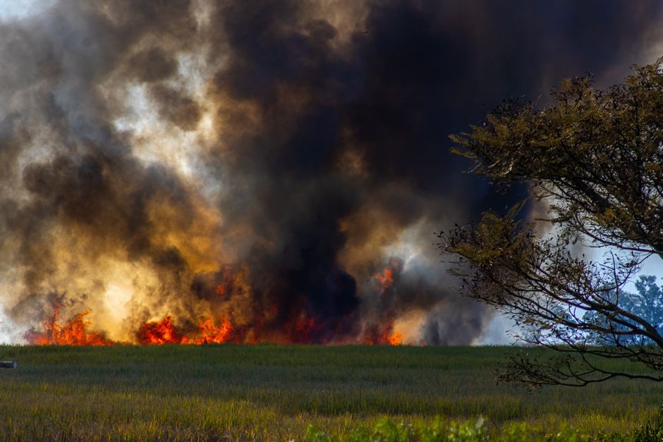 英国、山火事の恐れで数百万人に緊急警報 猛暑でBBQ禁止も