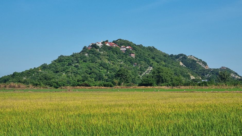 タイの寺院で土地名義変更が焦点に 法学者が住職を訪問、名義書き換えへ