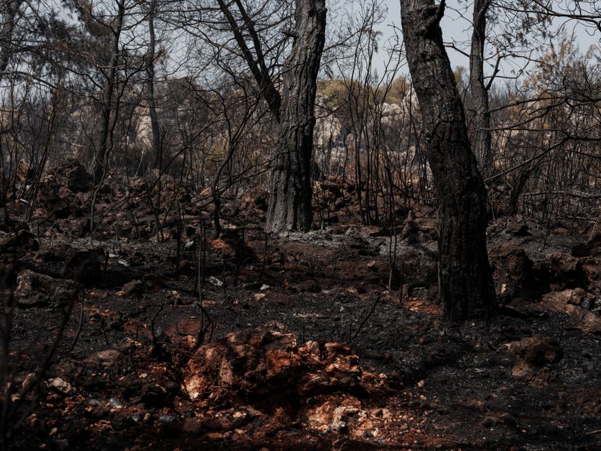 フランス・ルコルニュ氏の山火事被災地訪問、その舞台裏を地元紙が検証
