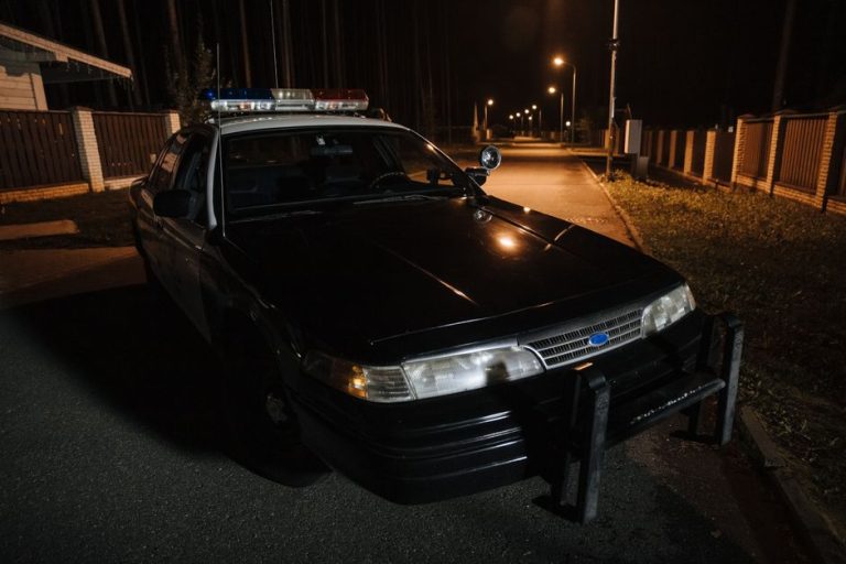 元交際相手宅に配達員姿で侵入か　シドニー警官による2人殺害事件